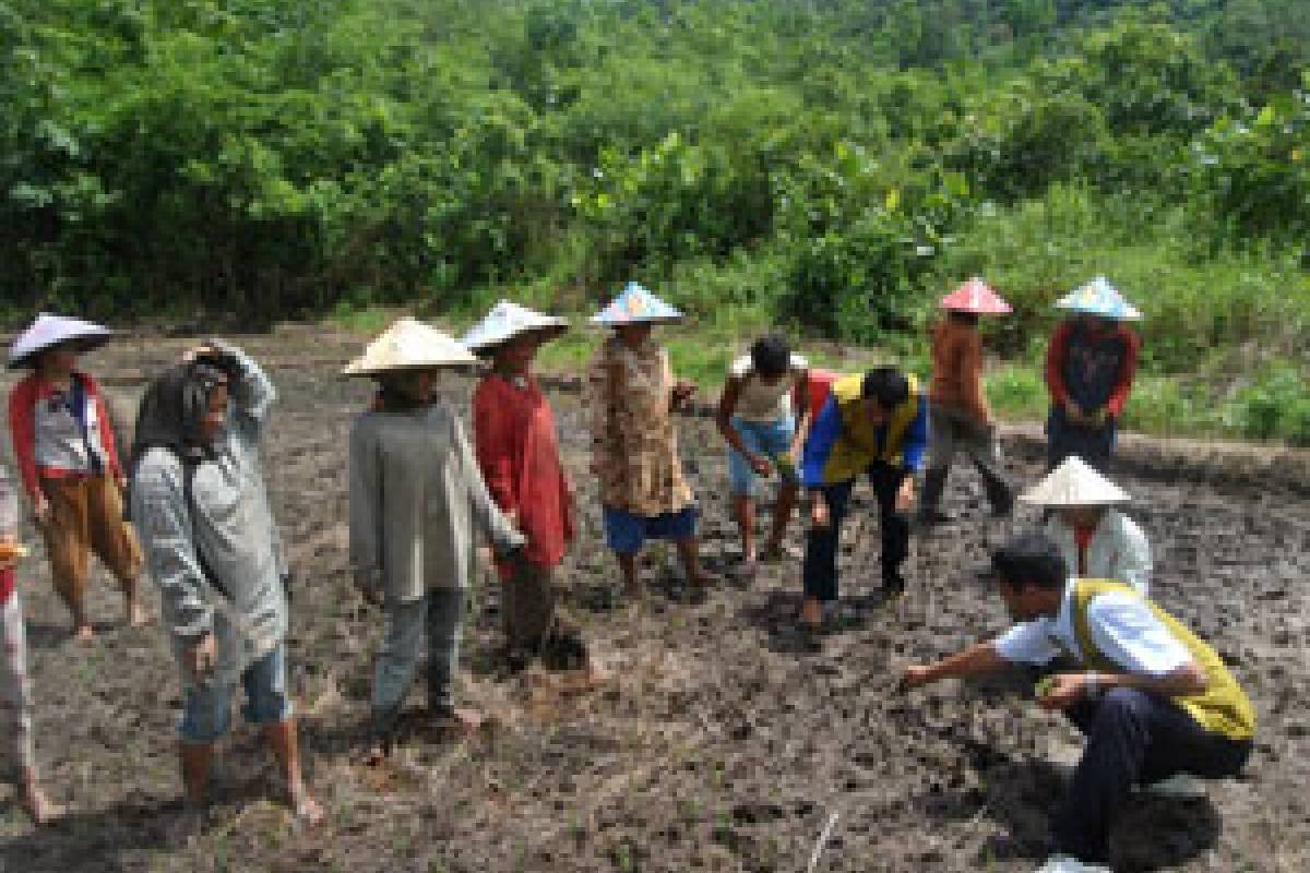 Program Pertanian Amal, Menuju Pertanian Berkelanjutan (Bag 2)