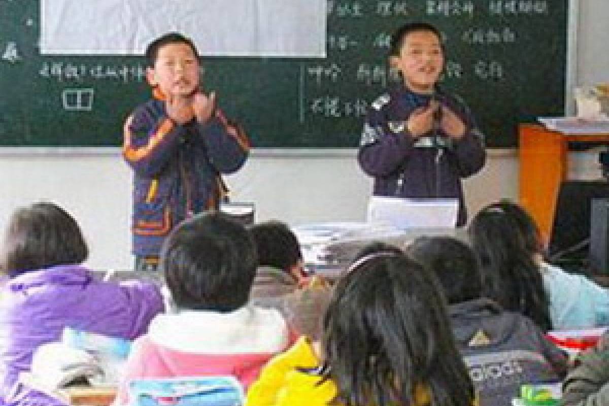 Internasional: Sekolah Ramah Lingkungan 