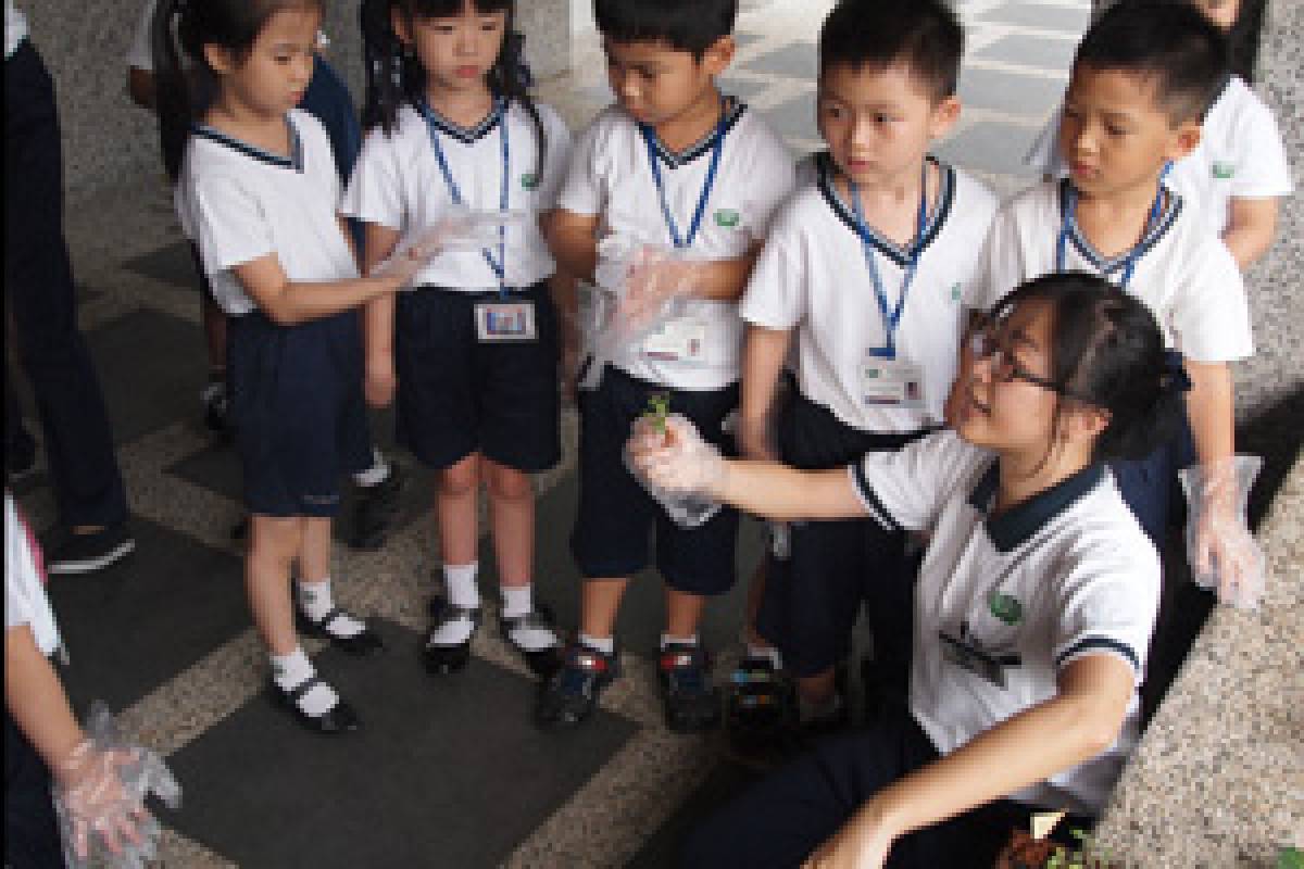 Minggu Budaya Humanis Sekolah Tzu Chi